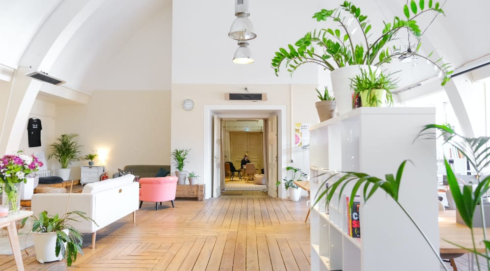 The Best Office Plants For Productivity, Wellbeing and Happiness – Knight Frank (UK)
