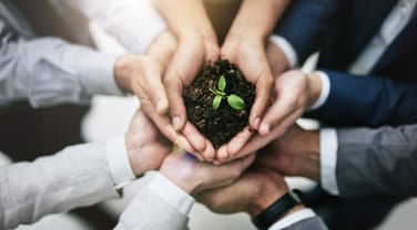 How to Identify and Grow Your Company Culture