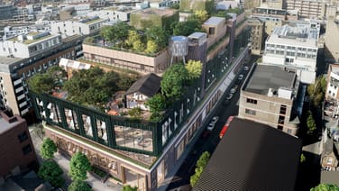 Are Green Offices London's Next Workspace Trend?