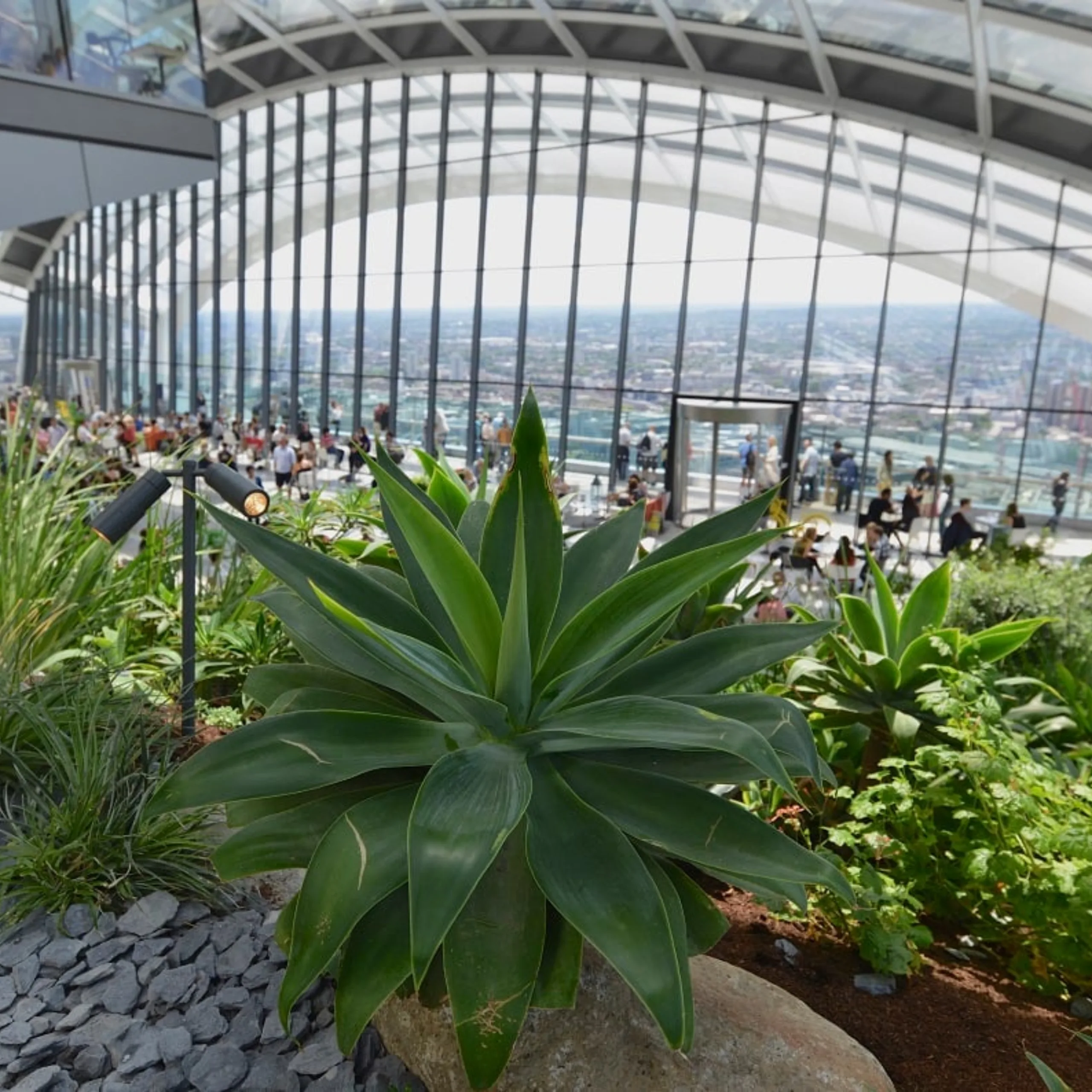 Placeholder - add alt text