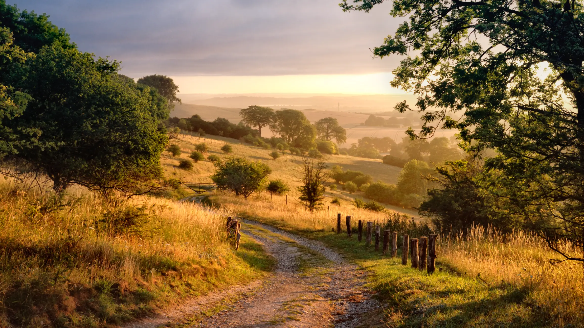 The Chiltern Hills &copy; Tony Eveling
