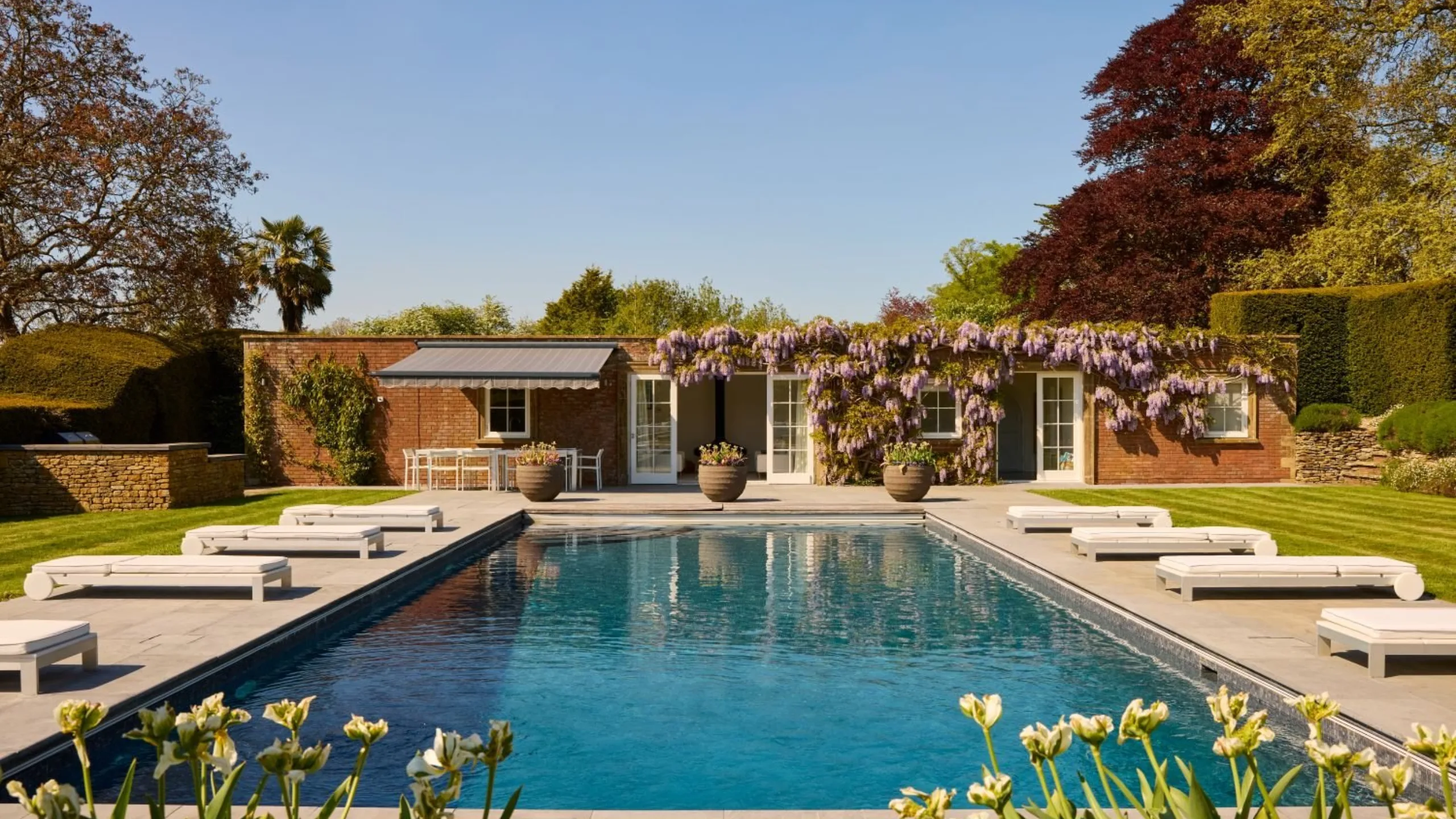 Swimming pool with sung loungers and grass on either side and a pool house at the end covered in flowers