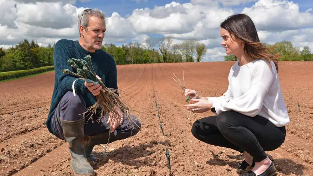 Knight Frank's Elin Jones and head winemaker Duncan Schwab survey the newly planted vineyard at Sandridge Barton.
