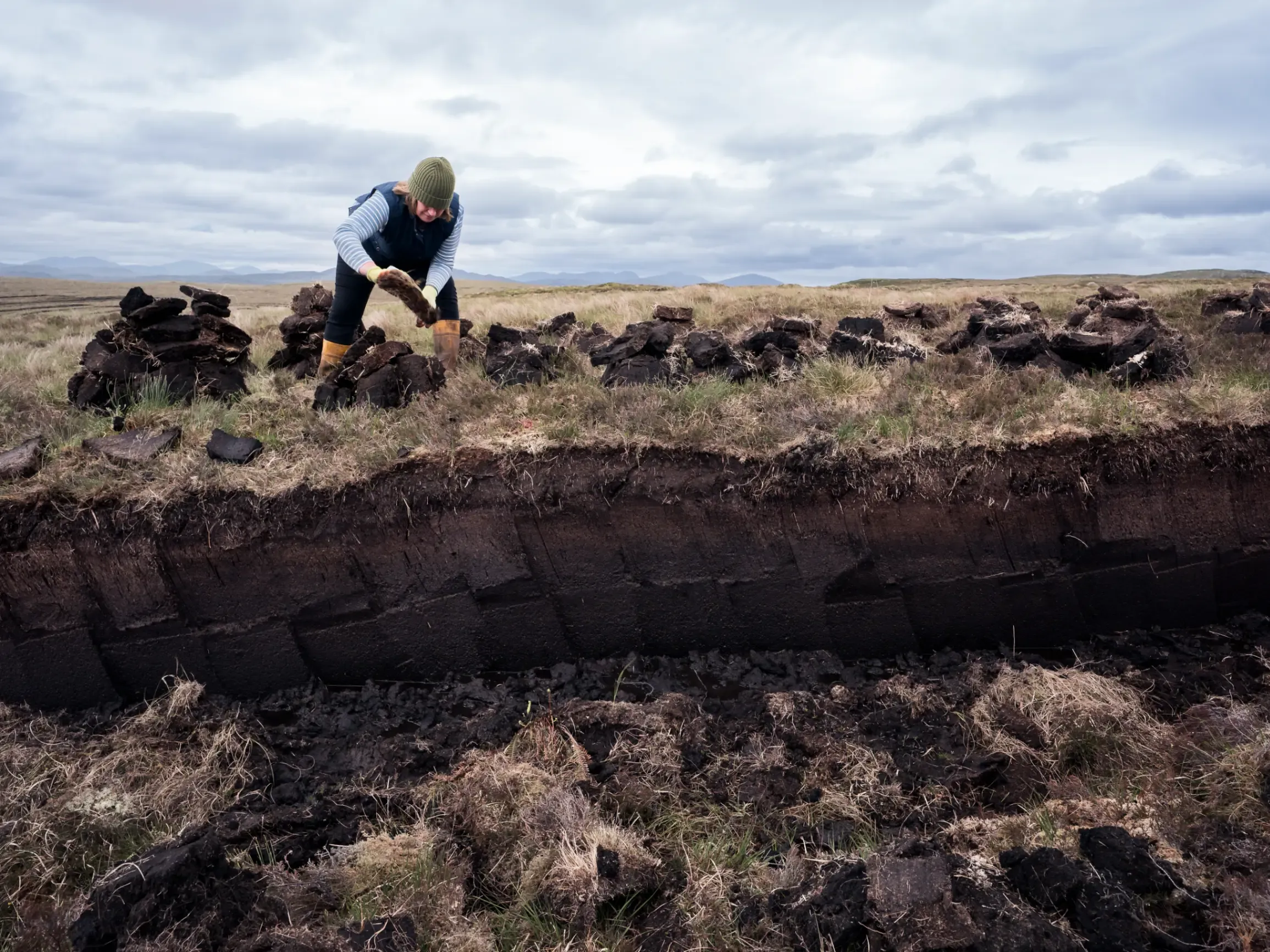 Woman working in peat bog stacks peat to dry