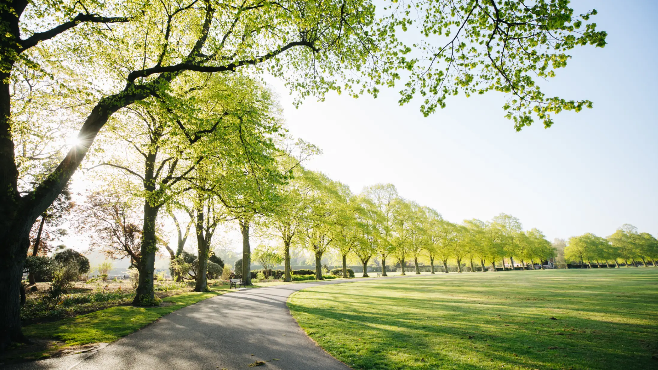 London park at sunrise