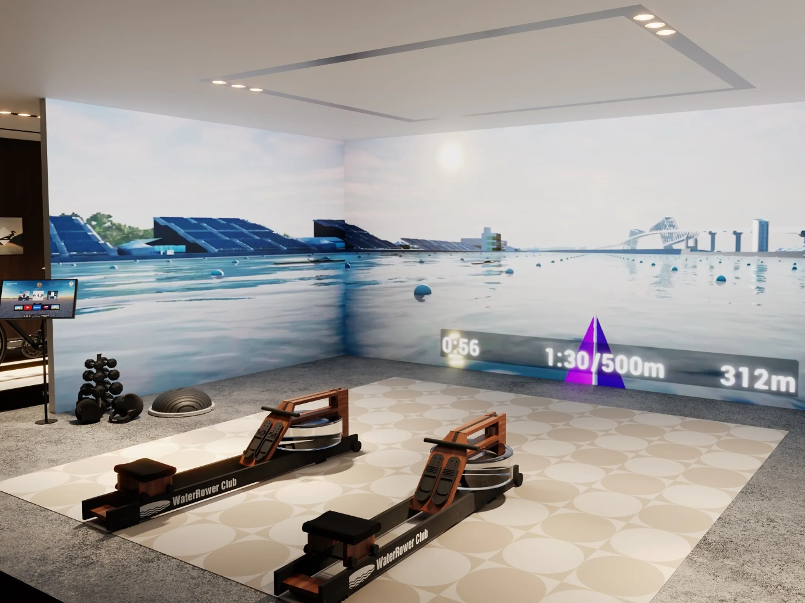 ImersU ROW by Immersive Gym Company allows users to connect their in home rowing machine to their desktop PC