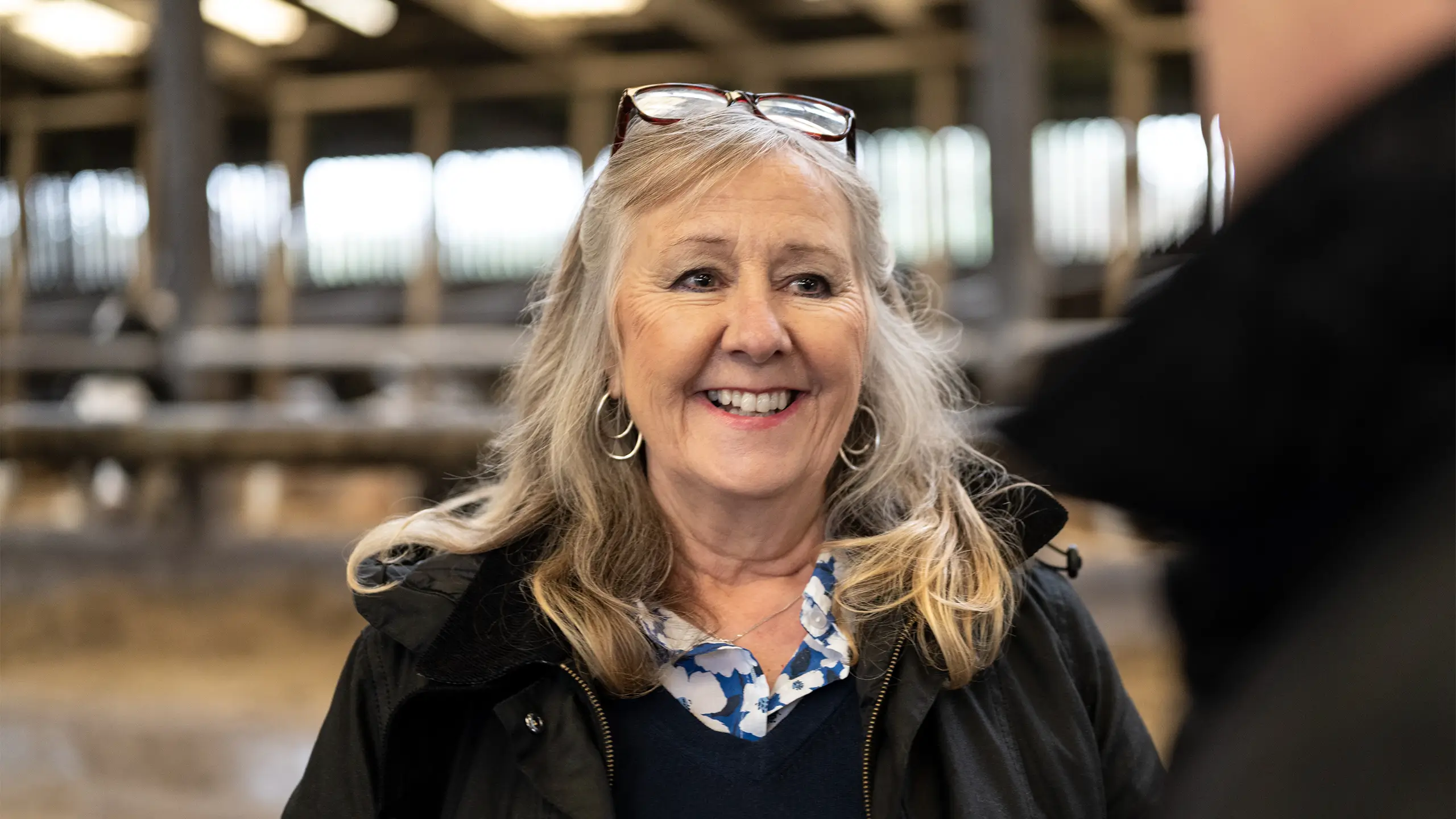 Distribution agent and dairy manager talking face-to-face