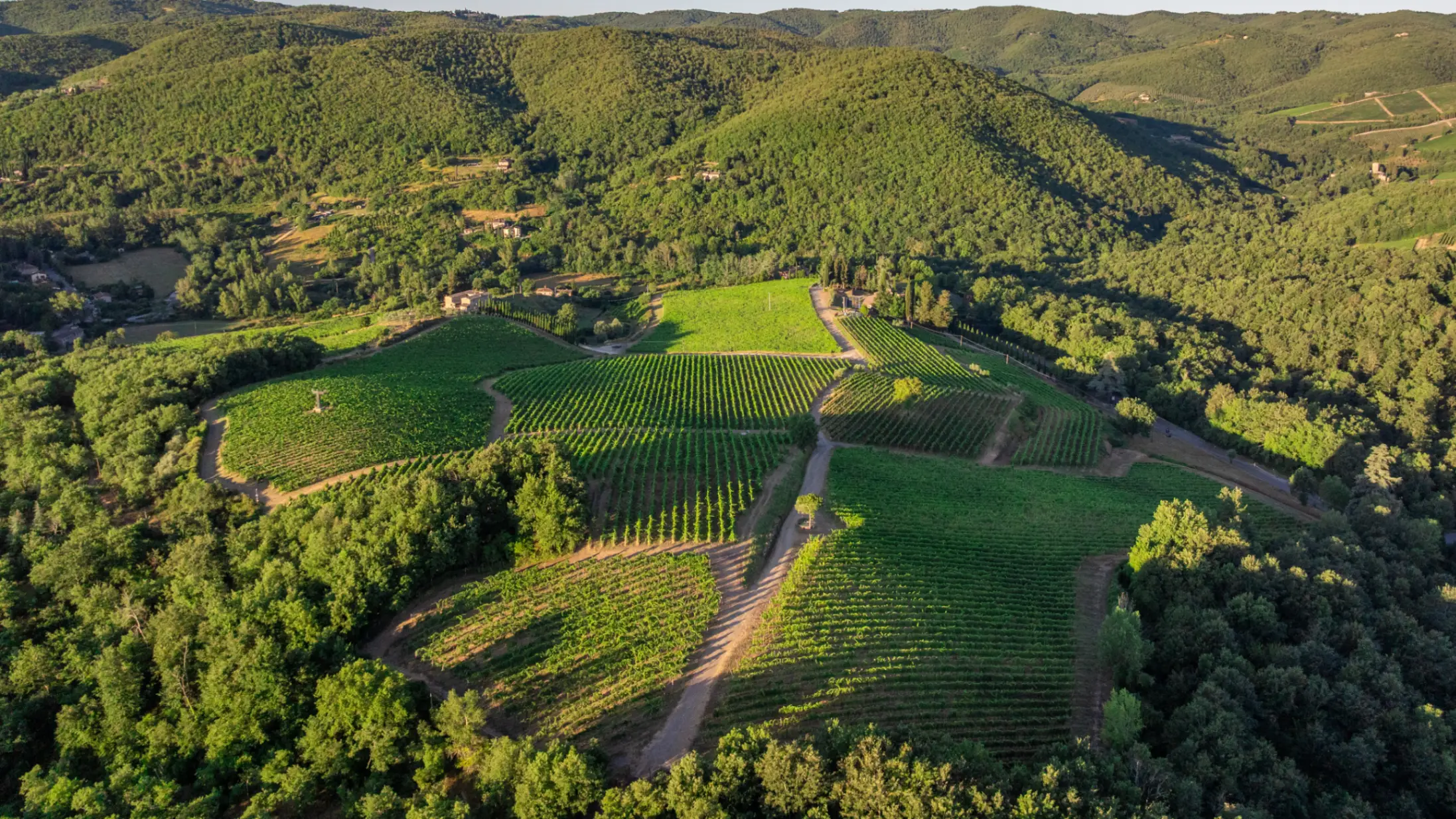 50-hectare estate for sale in the heart of Tuscany, Italy. Contact Alexander Hall for more details