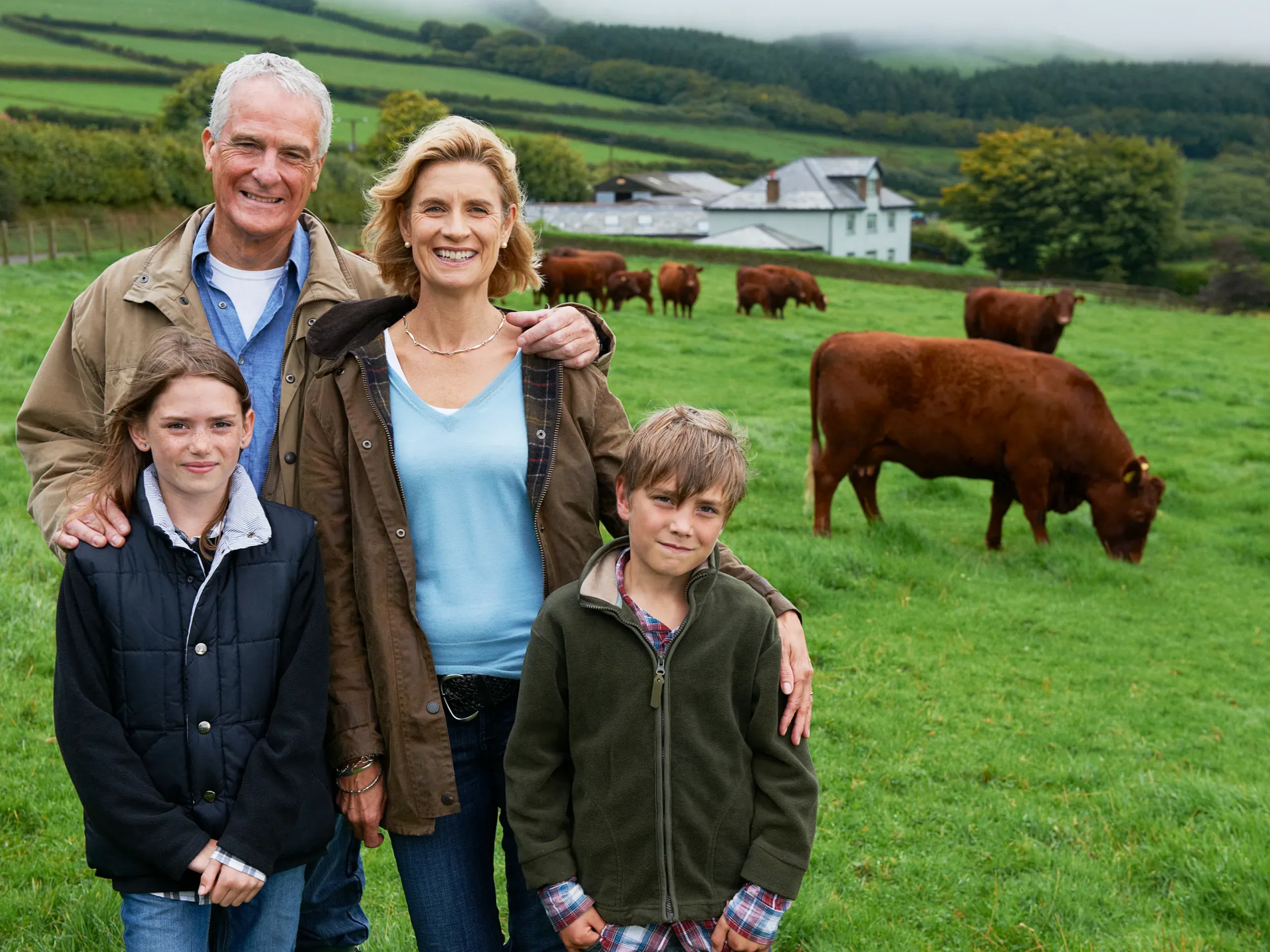 family of a mum dad son and daughter on farm in a field with brown cows