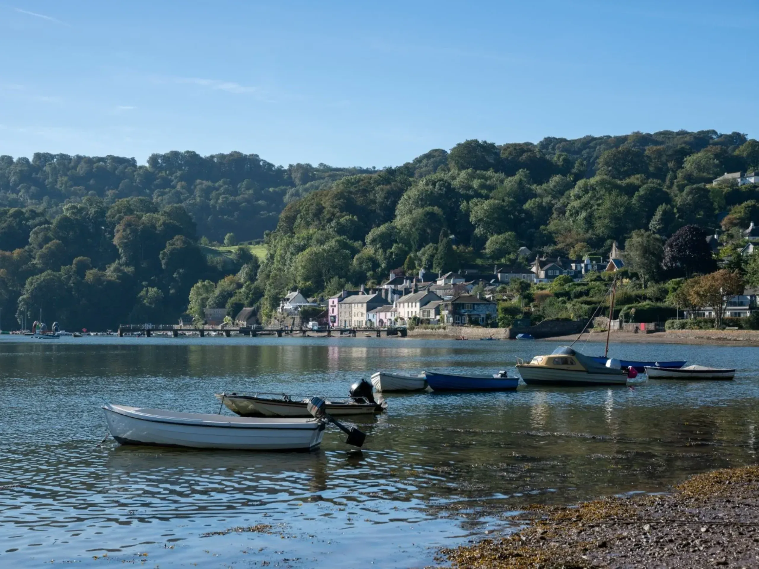 Boats moored along the shore from Dittisham with hills and trees in the background