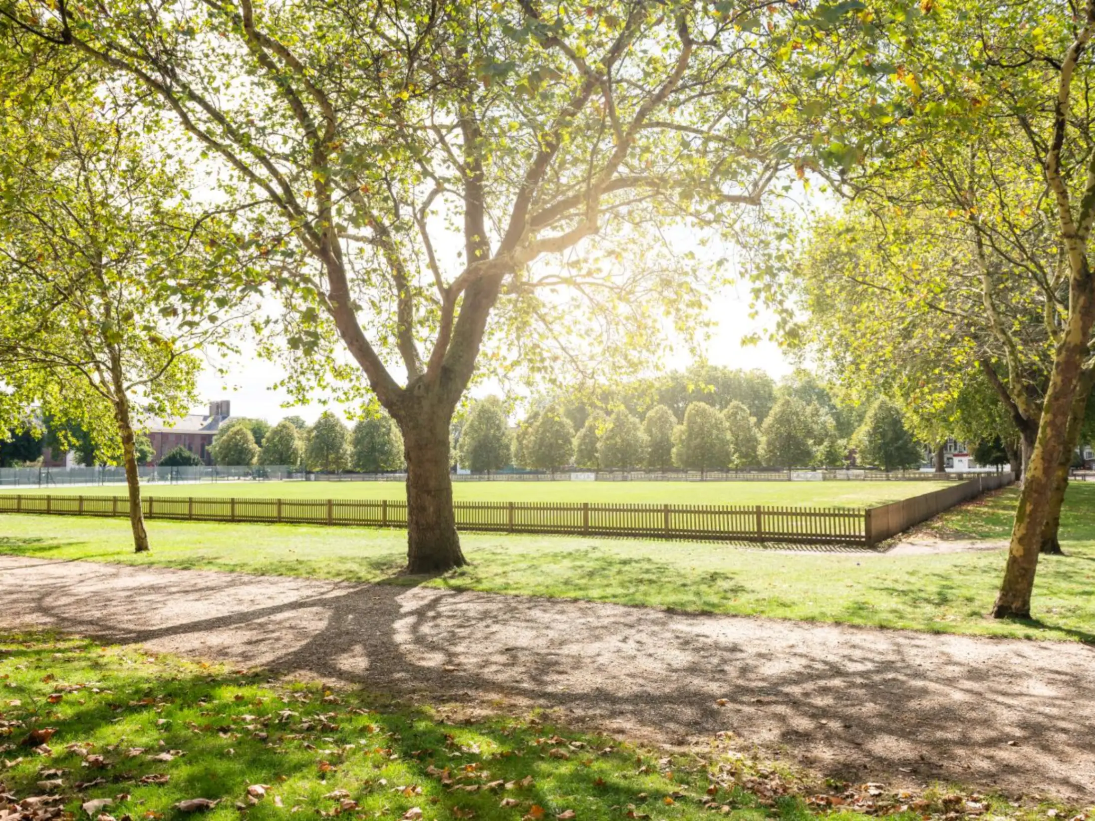 A park with a green field filled with trees and a metal fence 