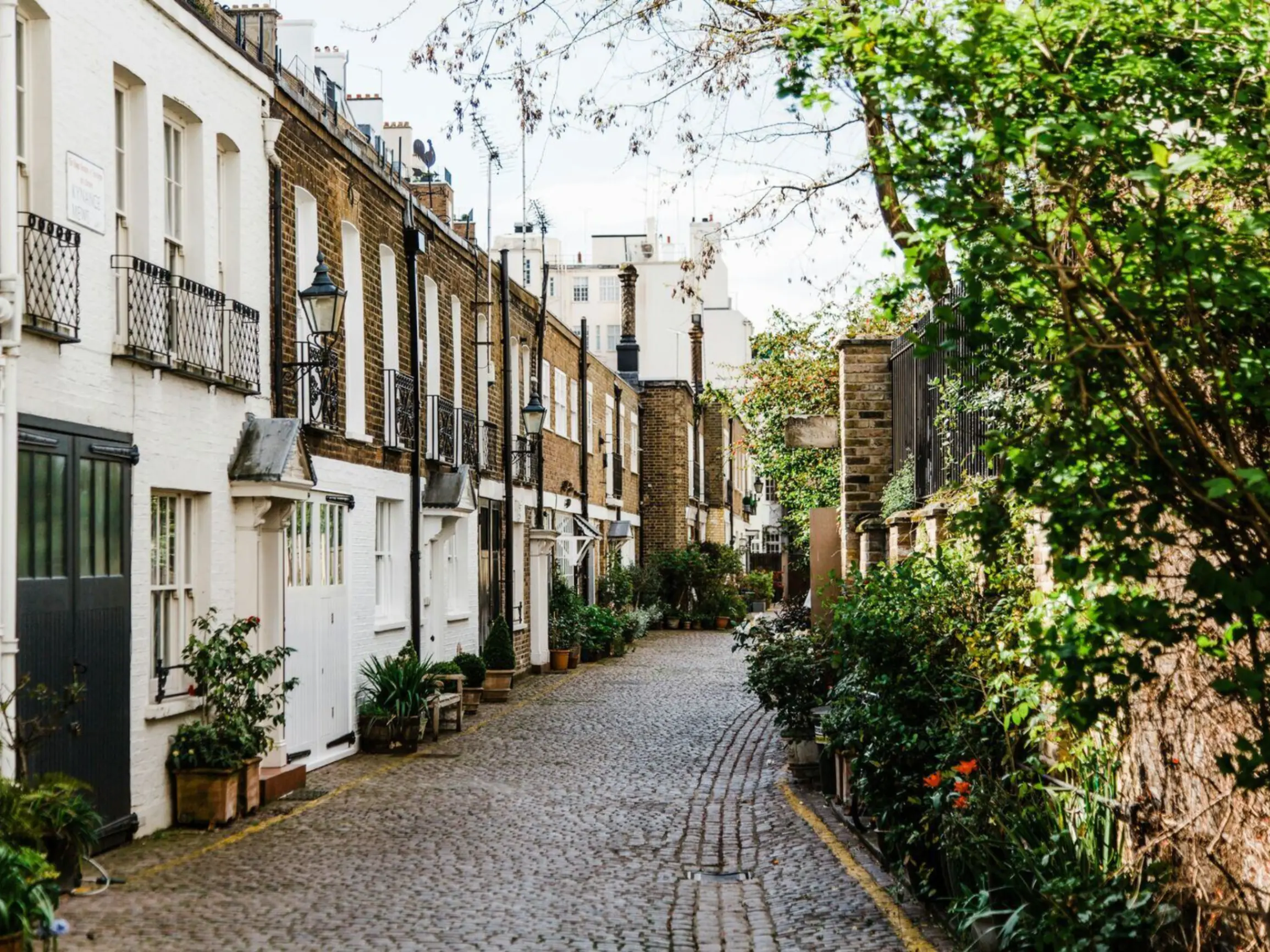 Exterior of mews houses opposite a wall with bushes and trees with cobbled street