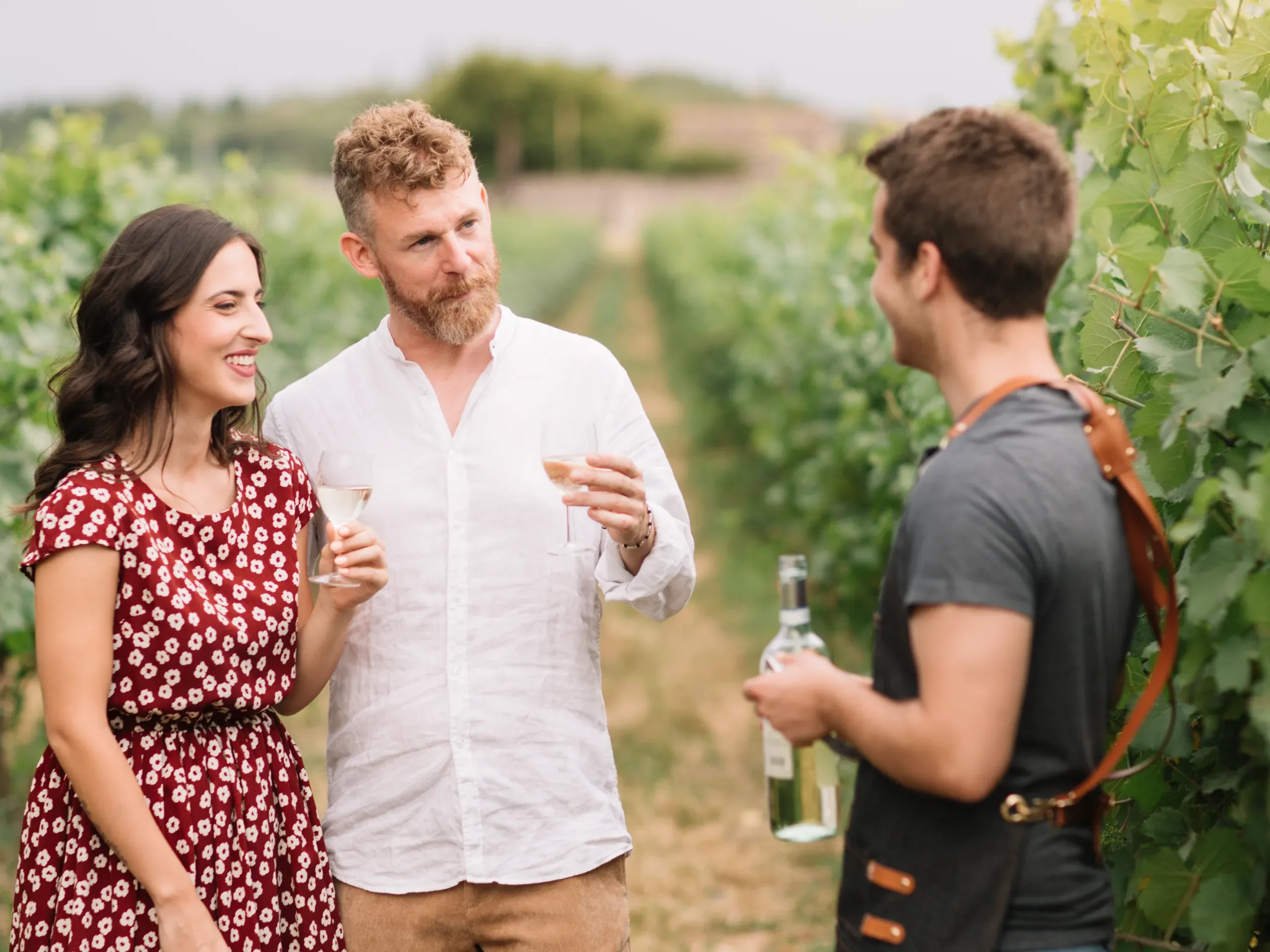 A Sommelier standing in a vineyard talking to customers.  