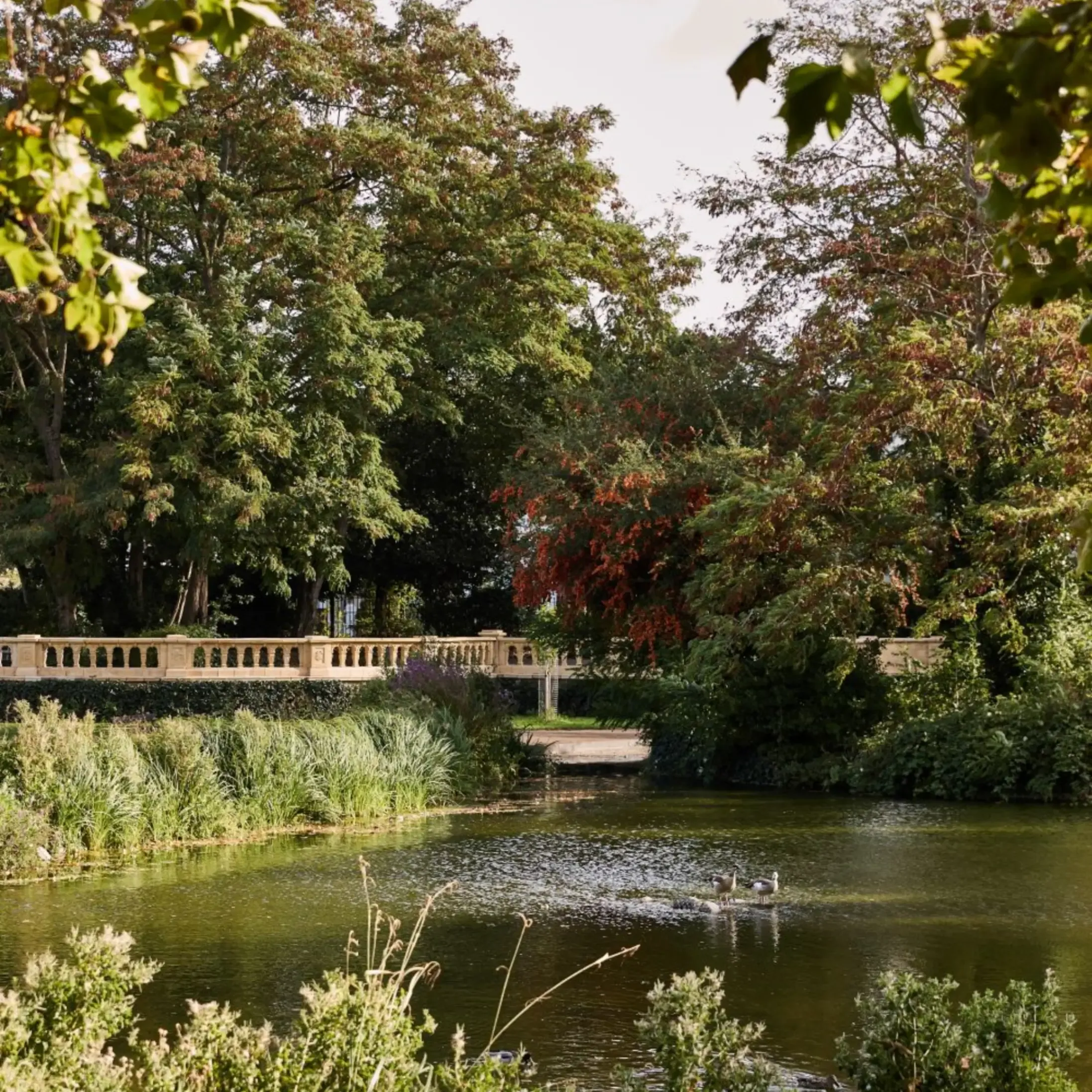 Bishops Park, Fulham London