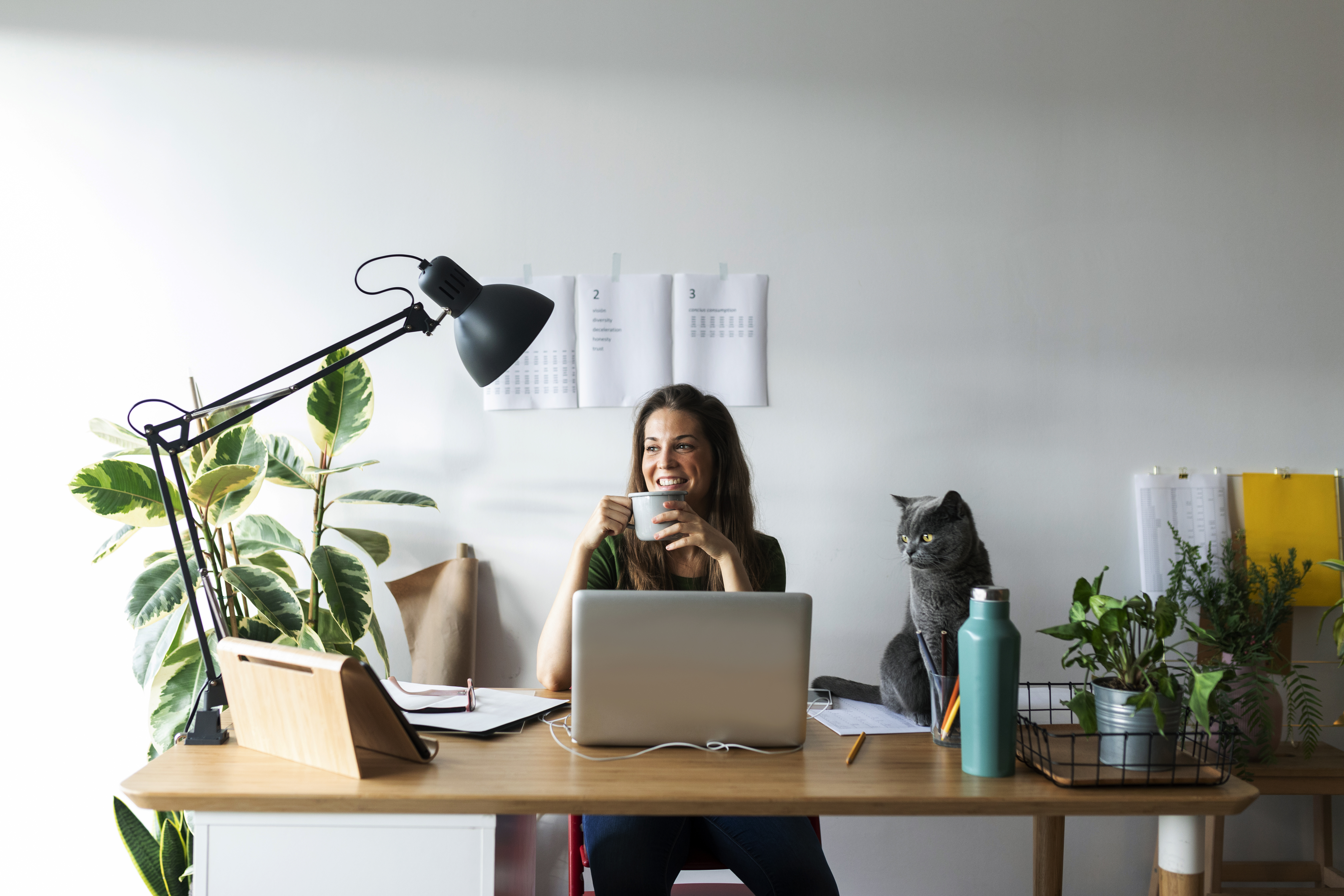 Working from home office lighting solutions
