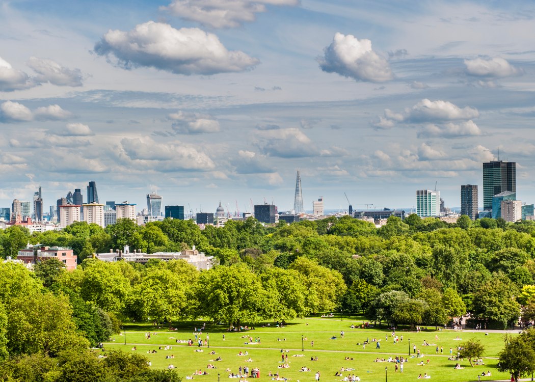 View from Primrose Hill