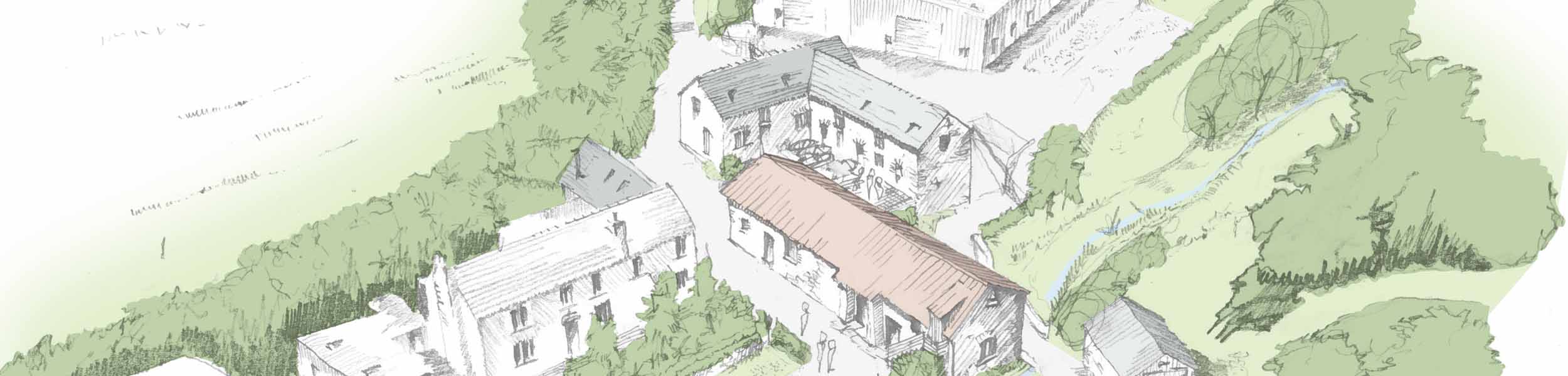 A Devon vineyard plans for a sustainable future
