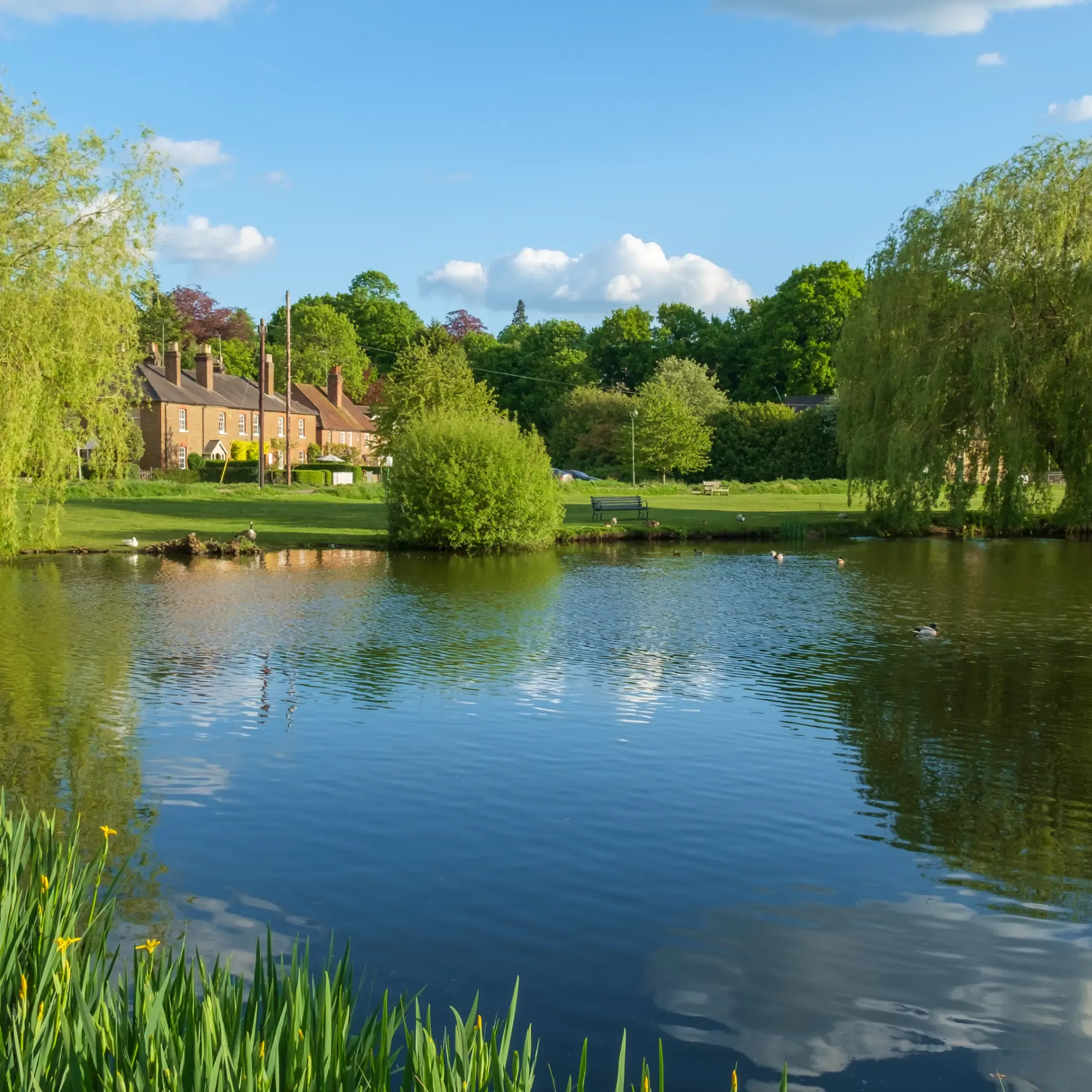 West End Village, Esher, Surrey, England, UK. Quintessential English Village built around a duck pond.