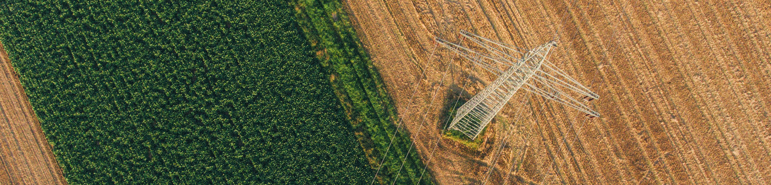 Big fuel bills could still hit rural businesses despite discount scheme