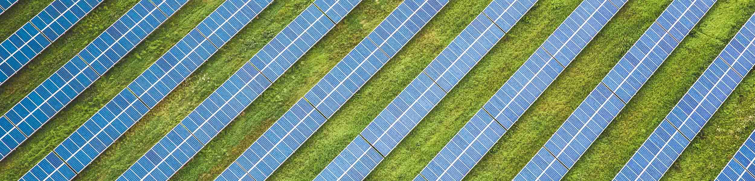The pros and cons of solar farms in agricultural land