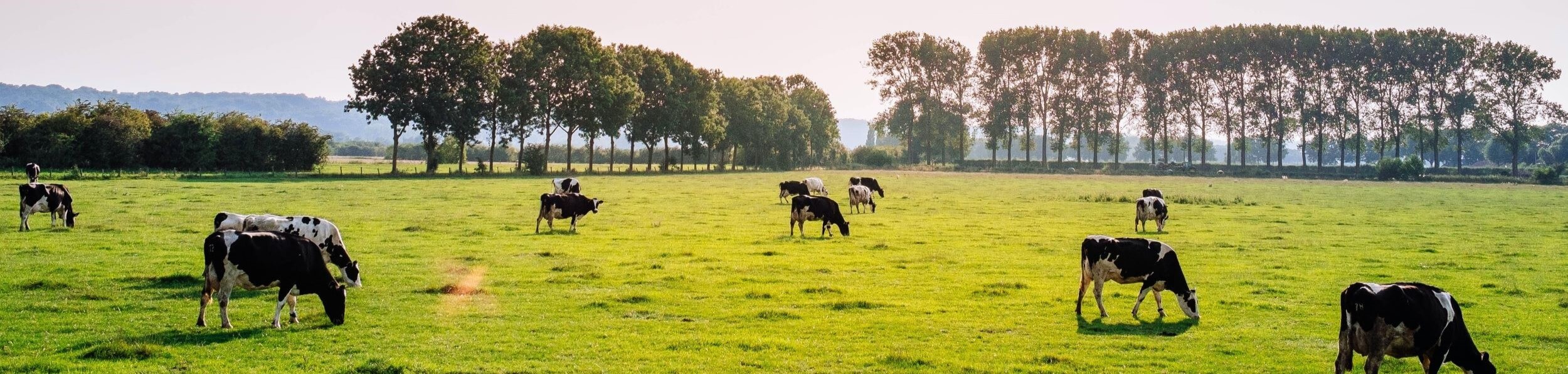 UK rural: carbon equity in the food chain