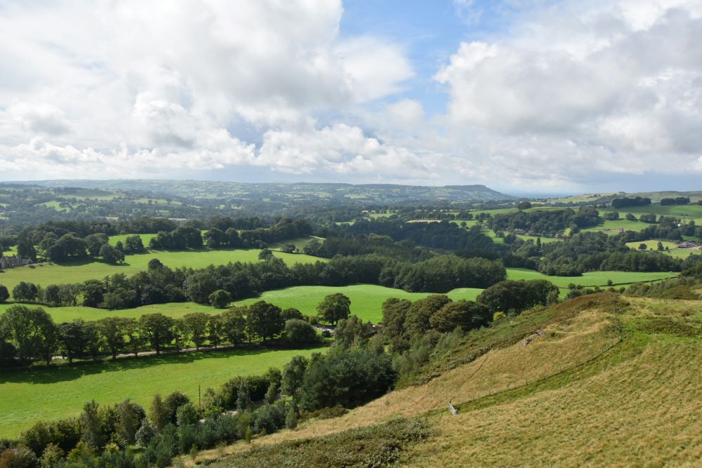 Image of UK rural: saving the environment is a partnership