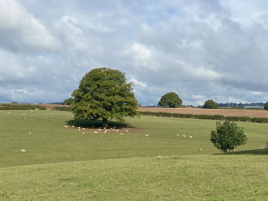 Image of UK rural: the net zero conundrum