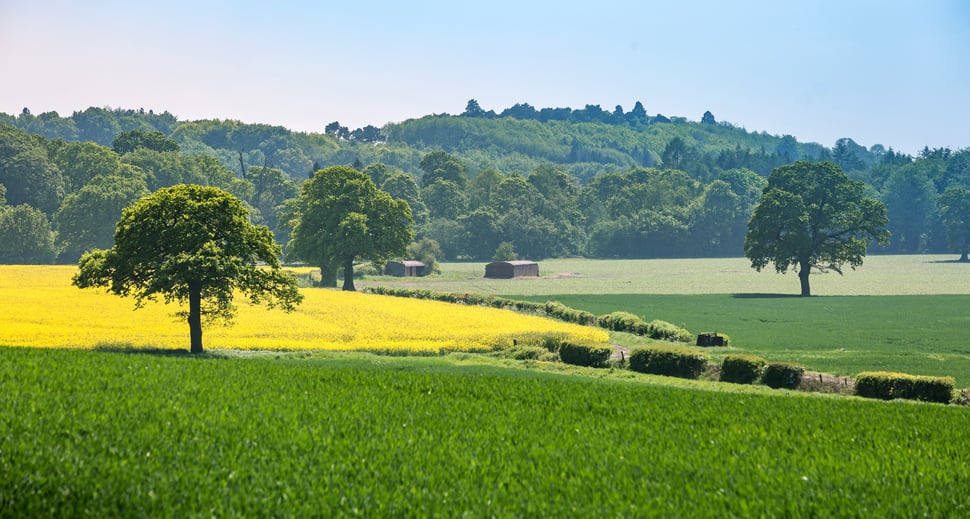 Profit and biodiversity: a guide to regenerative agriculture