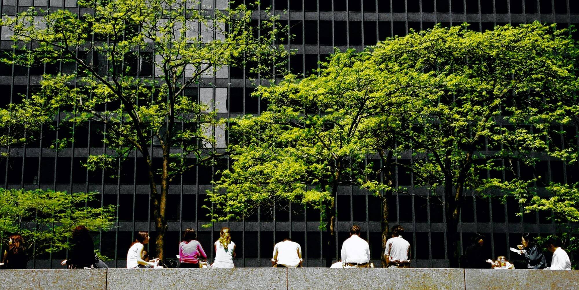 Unlocking the benefits of energy efficiency and net zero initiatives in commercial real estate