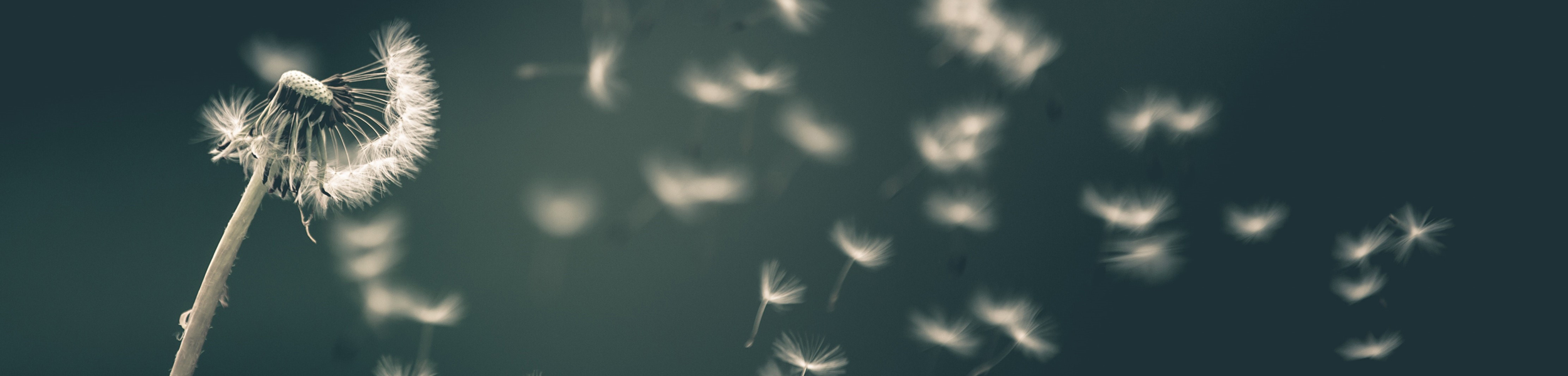 Rural best wishes for the New Year