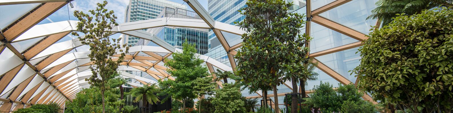 Energy Savings Opportunity Scheme (ESOS): The latest for phase 3