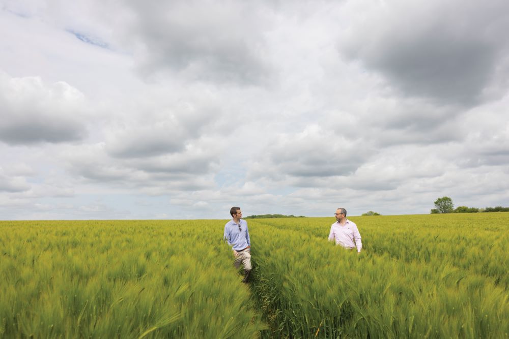 Image of Agricultural finance: funding solution helps farm thrive