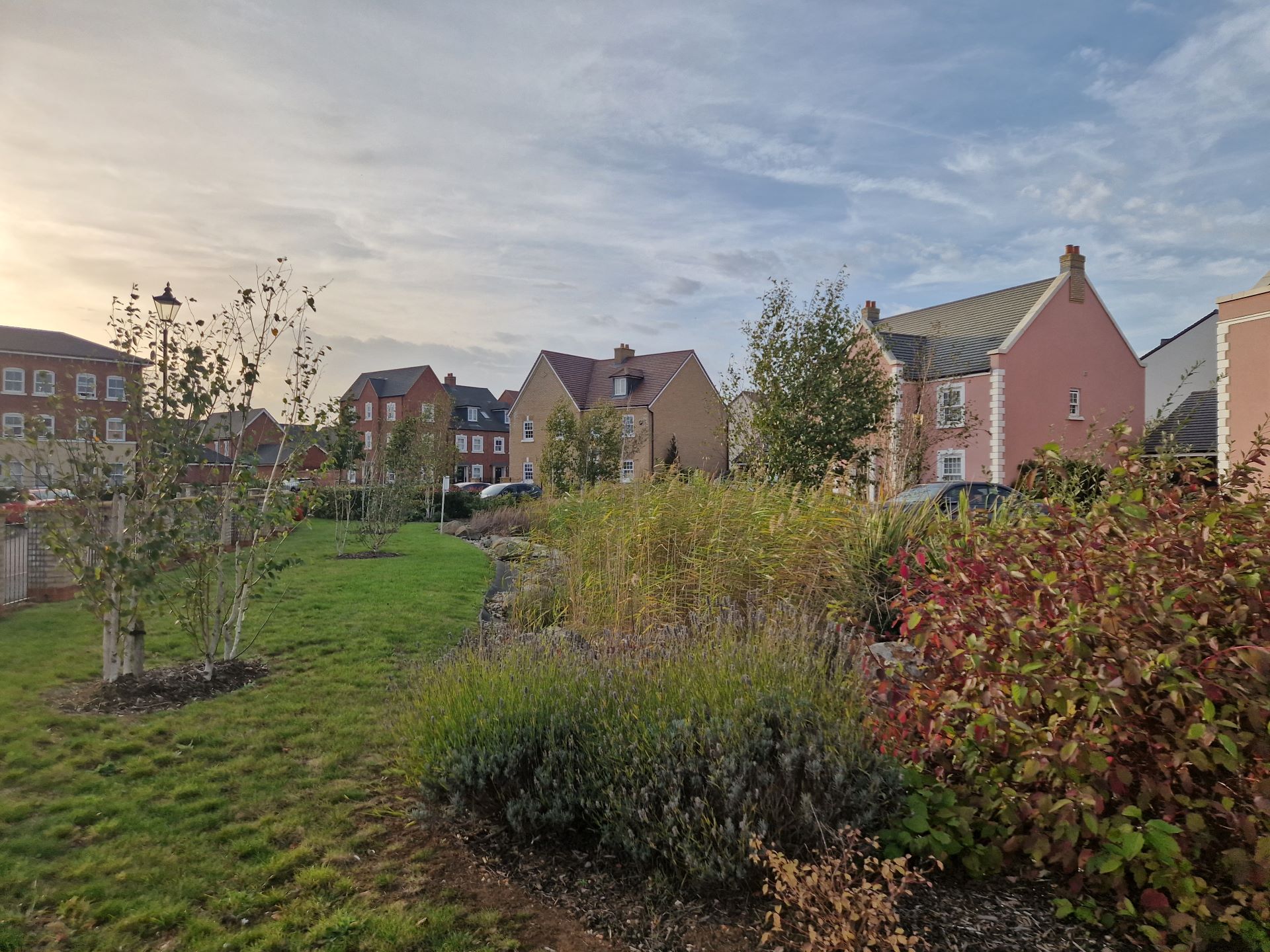 Image of Biodiversity Net Gain Guide