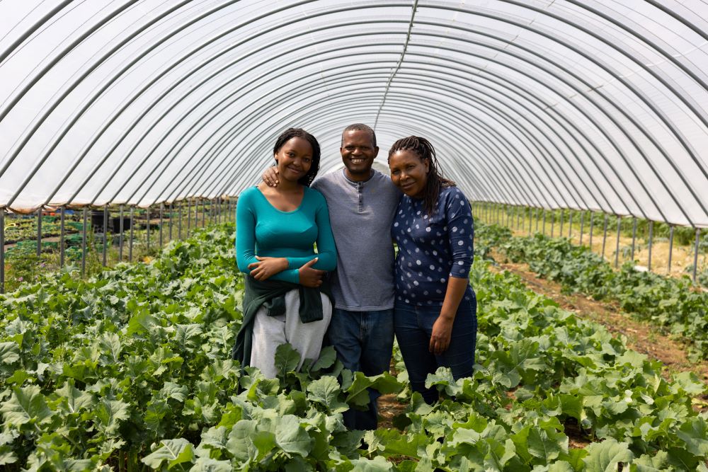 Image of Entering the UK farming market – key insights and learnings from David Mwanaka