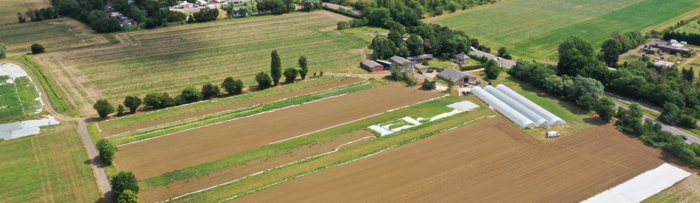 Entering the UK farming market – key insights and learnings from David Mwanaka