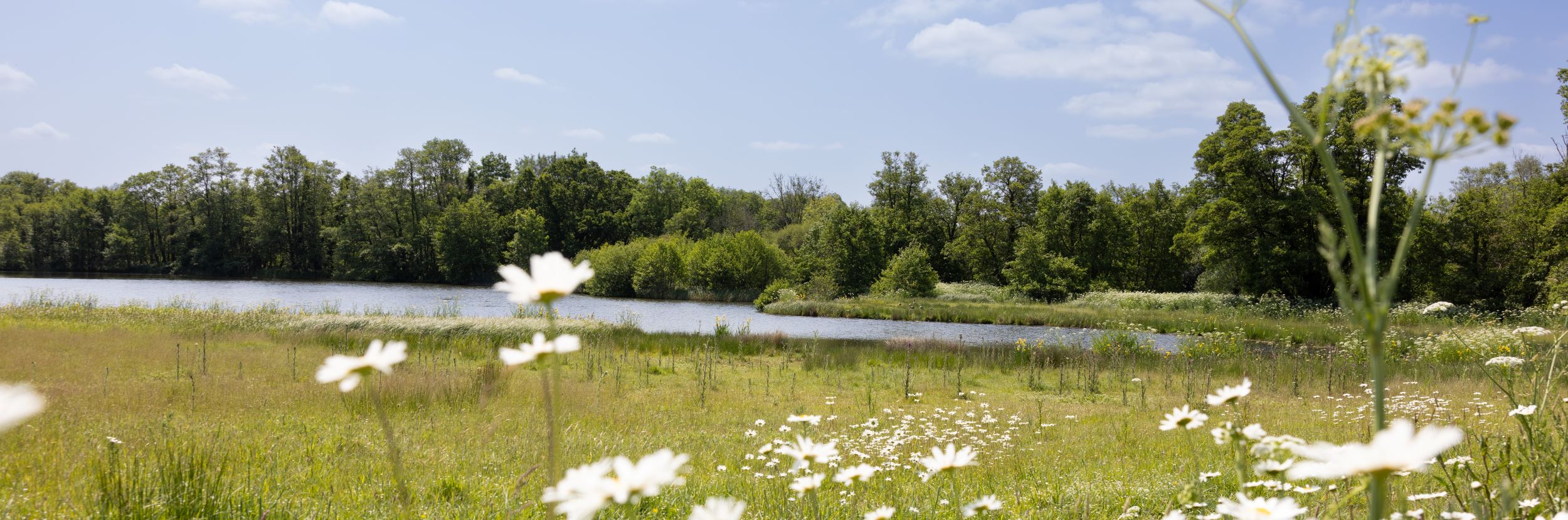 Natural capital and biodiversity opportunities for land owners, businesses and developers