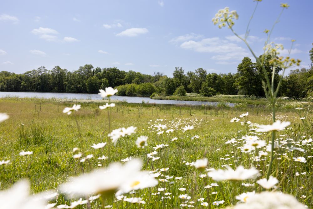 Image of Natural capital and biodiversity opportunities for land owners, businesses and developers