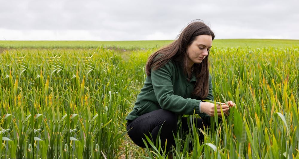 Image of Regenerative agriculture – is it a profitable venture?