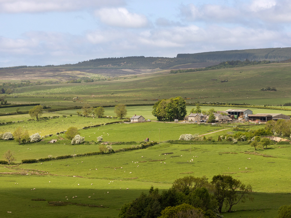 Image of Farmland price rise slows