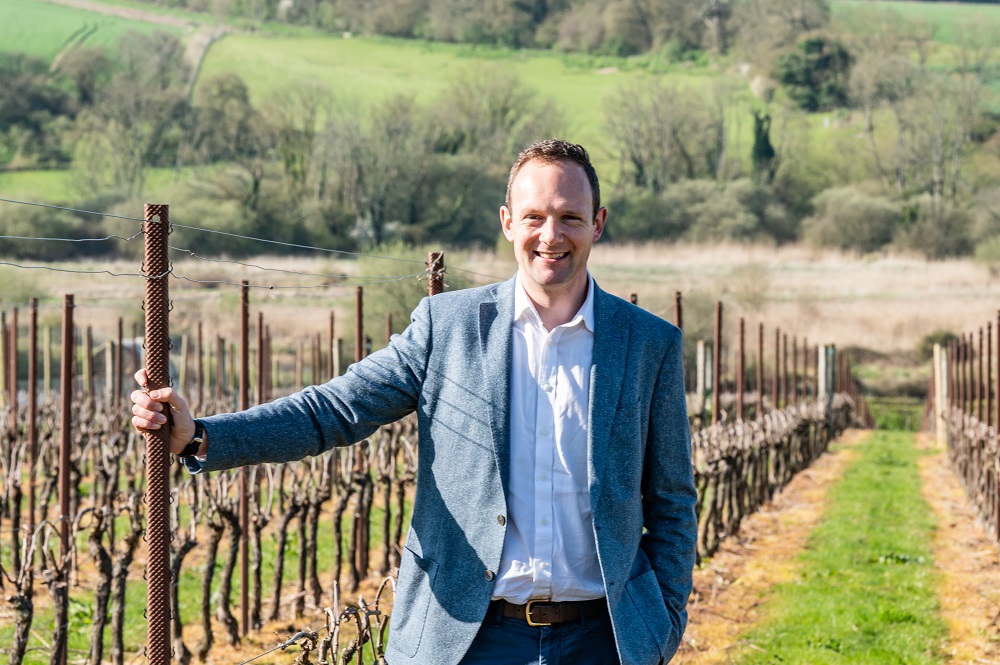 Image of How can a vineyard impact the value of your home?