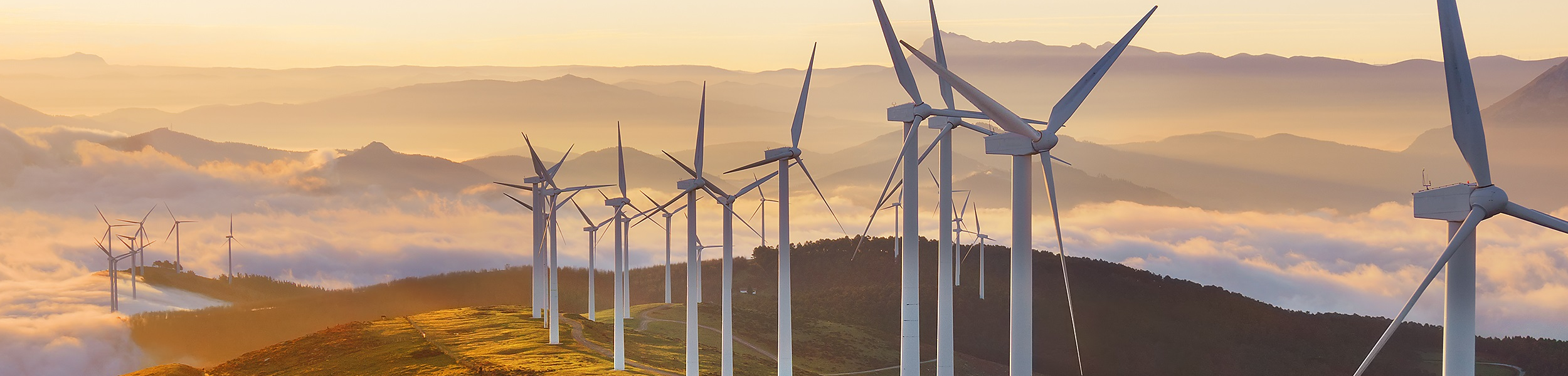 Rural Sentiment Survey highlights rural land use conflict