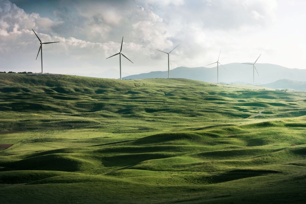 Image of Rural Sentiment Survey highlights rural land use conflict