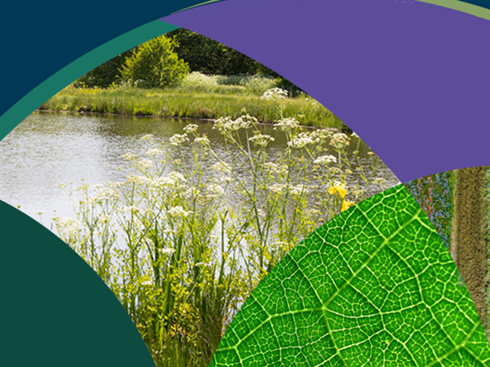 Image of The Rural Report is out now