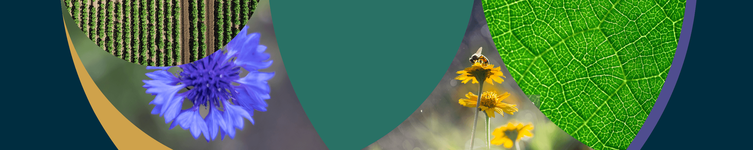 The Rural Report is out now