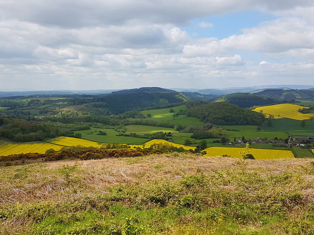 Image of UK rural property: A land of many functions