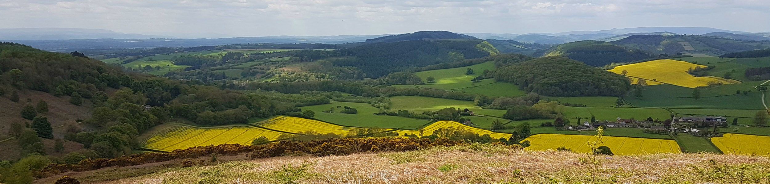 UK rural property: A land of many functions