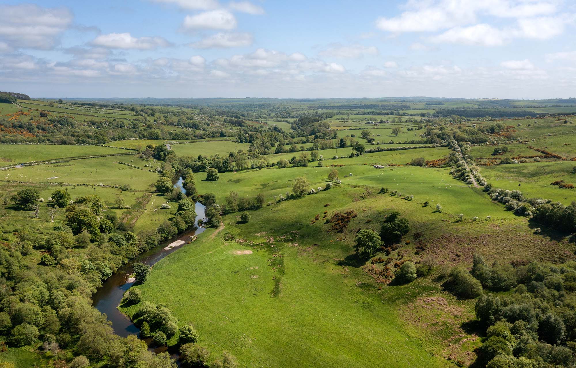A view of the Rothbury Estate