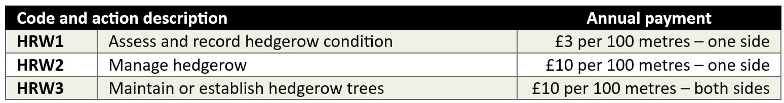 data table showing options available and cost