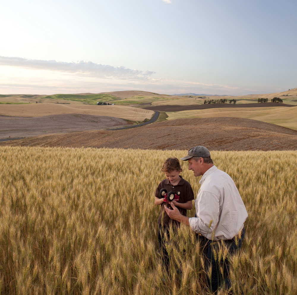 Image of How can Knight Frank Rural support with a review of your assets?