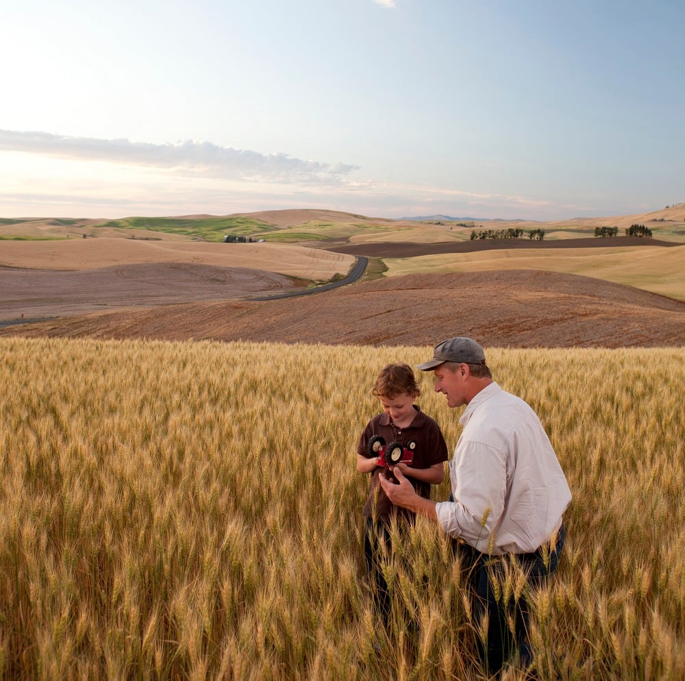 Image of How can Knight Frank Rural support with a review of your assets?